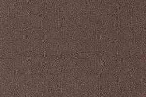 Ковролин Desso Asteranne 2123 фото  | FLOORDEALER