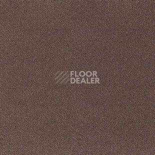 Ковролин Desso Asteranne 2123 фото 1 | FLOORDEALER