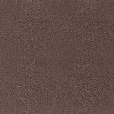 Ковролин Desso Asteranne 2123 фото 1 | FLOORDEALER