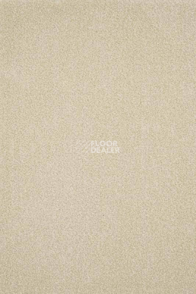 Ковролин AW Masquerade Moretta 30 фото 1 | FLOORDEALER