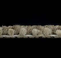 Desso Grain 1908 фото 4 | FLOORDEALER