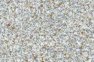 Линолеум Polyflor Polysafe Hydro 4860 фото  | FLOORDEALER