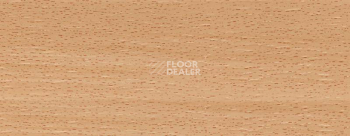 Плинтус Dollken EP 60/13 2600 фото 2 | FLOORDEALER