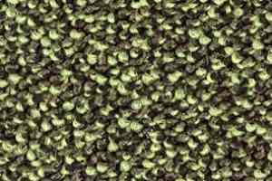 Ковролин Balsan Kaviar 230 фото  | FLOORDEALER