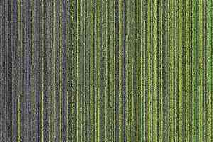 Ковровая плитка Voxflor Color Spring 525 фото  | FLOORDEALER