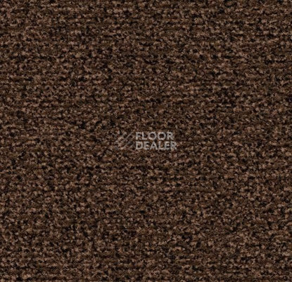Грязезащитные покрытия Forbo Coral Classic 4726 Auburn фото 1 | FLOORDEALER