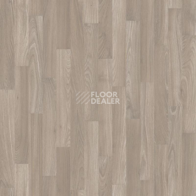 Линолеум Tarkett Stimul PEGAS_1 фото 1 | FLOORDEALER