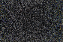 Flotex Colour s 482001 Penang Anthracite фото 2 | FLOORDEALER
