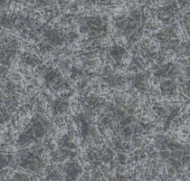 Линолеум Lg Calmpasso CP 93506 фото 1 | FLOORDEALER