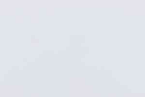 Ламинат Falquon Blue Line Stone 2 D2935 Uni White HG фото  | FLOORDEALER