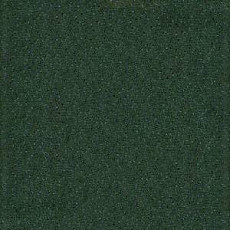 PVH Arena 2729 Darkgreen фото 1 | FLOORDEALER