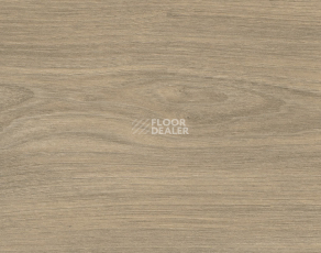 Ламинат Haro Tritty 200 Aqua 4V Вяз Варио 544784 фото 1 | FLOORDEALER