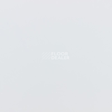 Ламинат Falquon Blue Line Stone 2 D2935 Uni White HG фото 1 | FLOORDEALER