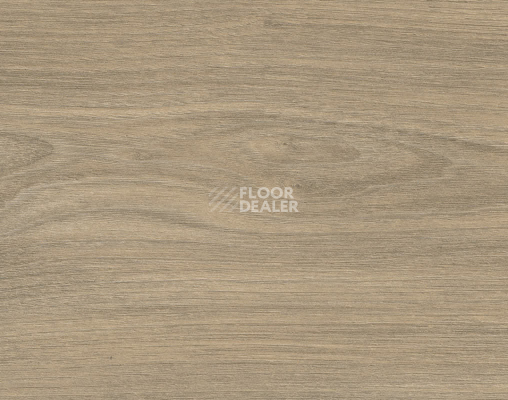 Ламинат Haro Tritty 200 Aqua 4V Вяз Варио 544784 фото 1 | FLOORDEALER