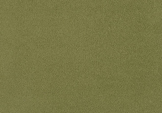 Ковролин Lano Zen 511 фото 1 | FLOORDEALER