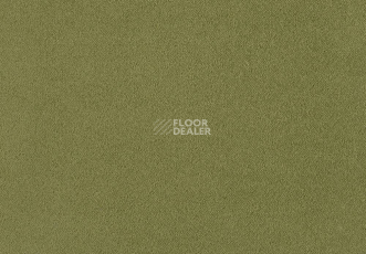 Ковролин Lano Zen 511 фото 1 | FLOORDEALER