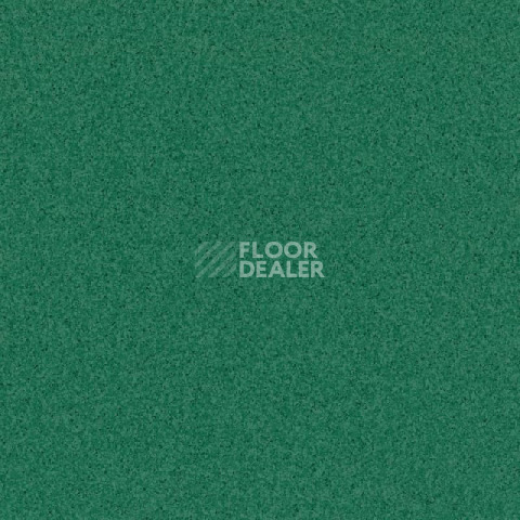 Линолеум Tarkett Primo Plus Depot Primo 312 фото 1 | FLOORDEALER