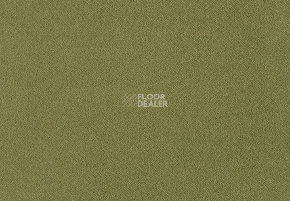 Ковролин Lano Zen 511 фото 1 | FLOORDEALER