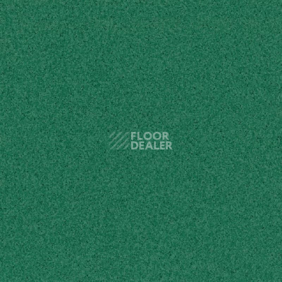 Линолеум Tarkett Primo Plus Depot Primo 312 фото 1 | FLOORDEALER