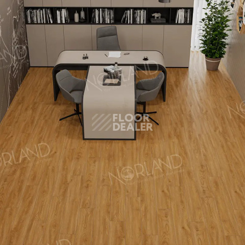 Norland Elegant Strong 12мм Дуб Хонсю LF302-10 фото 2 | FLOORDEALER