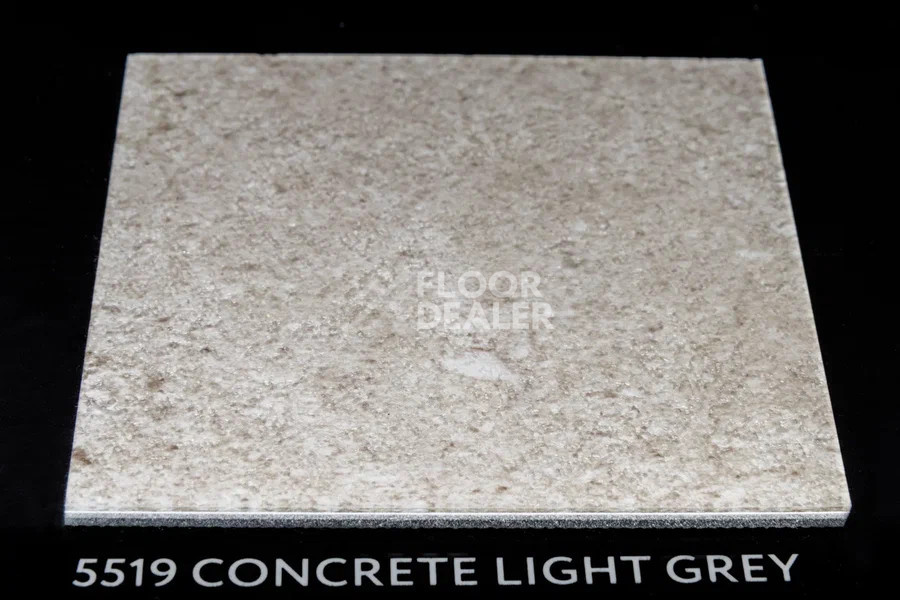 Виниловая плитка ПВХ Vertigo Trend / Stone & Design 5519 Concrete Light grey 457.2 мм X 457.2 мм фото 2 | FLOORDEALER