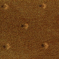 Pullman Associated Weavers 85 фото 1 | FLOORDEALER