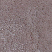 Ковролин Serene Beaulieu of America 29 фото 1 | FLOORDEALER