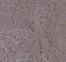 Ковролин Serene Beaulieu of America 29 фото 1 | FLOORDEALER