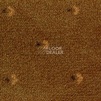 Ковролин Pullman Associated Weavers 85 фото 1 | FLOORDEALER