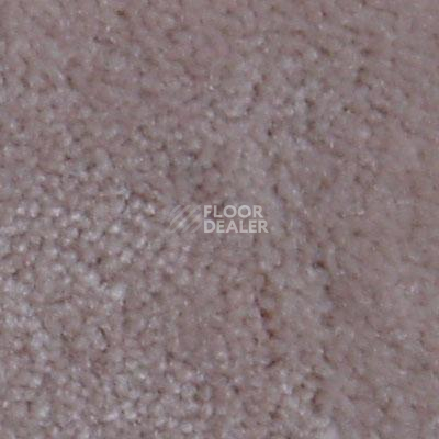 Ковролин Serene Beaulieu of America 29 фото 1 | FLOORDEALER