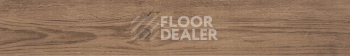 Керамогранит Manhattan Par-Ker Manhattan Cognac 19,3x120 фото 1 | FLOORDEALER