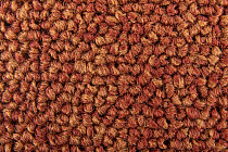 Standard Carpets Spectrum sm 526 фото 3 | FLOORDEALER