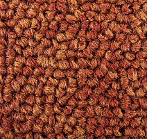 Standard Carpets Spectrum sm 526 фото 3 | FLOORDEALER