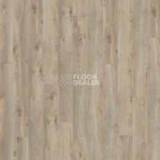Kronotex Mammut d3669 Дуб Макро Бежевый фото 5 | FLOORDEALER