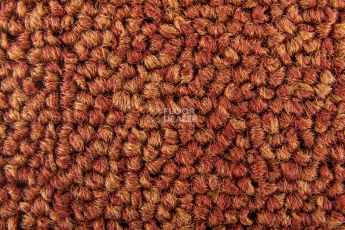 Standard Carpets Spectrum sm 526 фото 3 | FLOORDEALER
