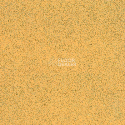 Линолеум Tarkett Acczent Universal Sunny Yellow фото 1 | FLOORDEALER