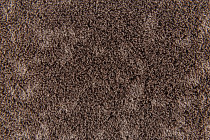 Flotex Colour s 246015 Metro Cocoa фото 2 | FLOORDEALER