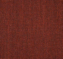 Ковролин Carpet Concept Eco 500 6924 фото 1 | FLOORDEALER