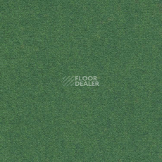 Ковролин Finett Feinwerk 603506 фото 1 | FLOORDEALER