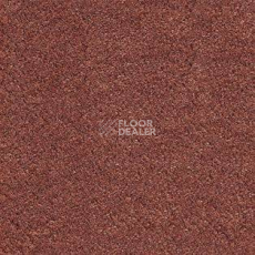 Ковролин AW Satin 84 фото 1 | FLOORDEALER