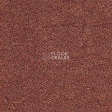 Ковролин AW Satin 84 фото 1 | FLOORDEALER
