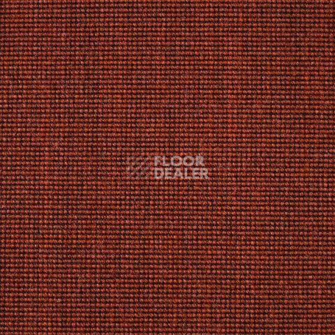 Ковролин Carpet Concept Eco 500 6924 фото 1 | FLOORDEALER