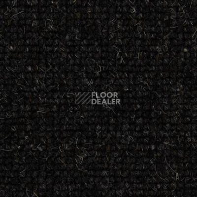 Ковролин Edel Centre Point 148 фото 1 | FLOORDEALER