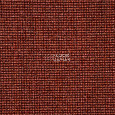 Ковролин Carpet Concept Eco 500 6924 фото 1 | FLOORDEALER