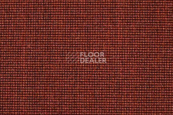 Ковролин Carpet Concept Eco 500 6924 фото 1 | FLOORDEALER