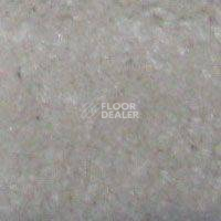 Ковролин Hidden Treasure Beaulie of America Snow Cap 32 фото 1 | FLOORDEALER