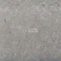 Ковролин Hidden Treasure Beaulie of America Snow Cap 32 фото 1 | FLOORDEALER