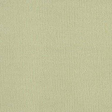 Ковролин Lano Mambo 552 фото 1 | FLOORDEALER