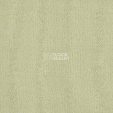 Ковролин Lano Mambo 552 фото 1 | FLOORDEALER