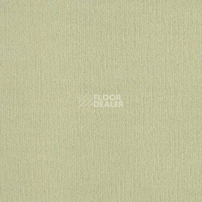 Ковролин Lano Mambo 552 фото 1 | FLOORDEALER